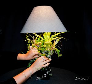 Lumipouss' 2
